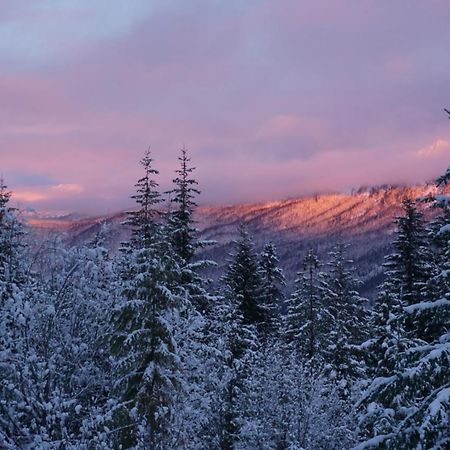 Hot Tub Cool Views: Roaring Creek Cabin Левънуърт Екстериор снимка