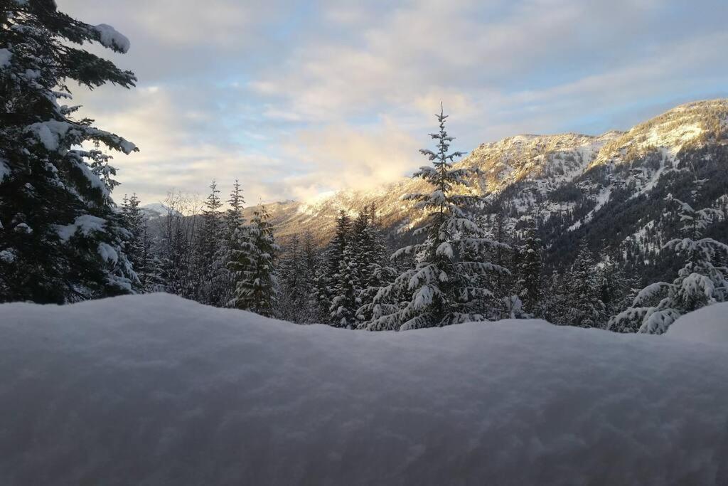 Hot Tub Cool Views: Roaring Creek Cabin Левънуърт Екстериор снимка
